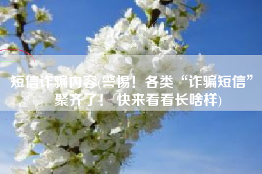 短信诈骗内容(警惕！各类“诈骗短信” 聚齐了！ 快来看看长啥样)