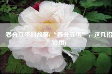 春分立蛋的故事(“春分立蛋”，这几招管用)