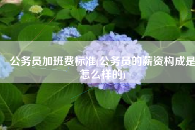 公务员加班费标准(公务员的薪资构成是怎么样的)