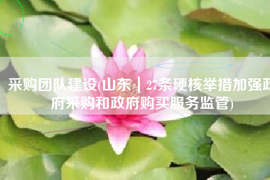 采购团队建设(山东｜27条硬核举措加强政府采购和政府购买服务监管)