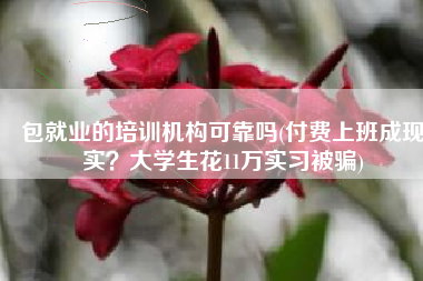 包就业的培训机构可靠吗(付费上班成现实？大学生花11万实习被骗)