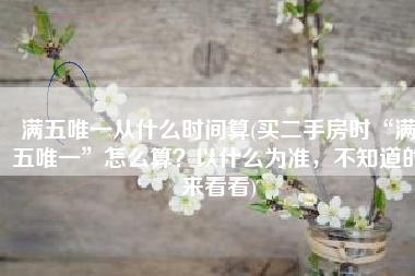 满五唯一从什么时间算(买二手房时“满五唯一”怎么算？以什么为准，不知道的来看看)