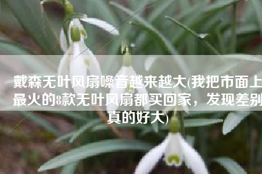 戴森无叶风扇噪音越来越大(我把市面上最火的8款无叶风扇都买回家，发现差别真的好大)