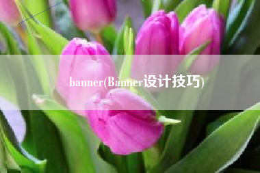 banner(Banner设计技巧)