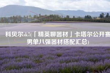 科贝尔sk7(「精英聊器材」卡塔尔公开赛男单八强器材搭配汇总)
