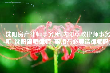 沈阳房产律师事务所(沈阳卓政律师事务所_沈阳离婚律师_离婚有必要请律师吗)