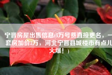 宁晋房屋出售信息(5万号费直接更名，一套房加价3万，河北宁晋县城楼市有点儿火爆！)