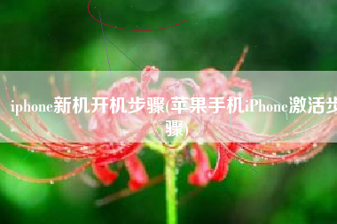iphone新机开机步骤(苹果手机iPhone激活步骤)