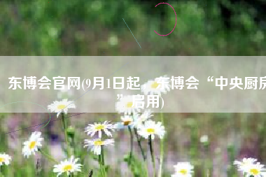 东博会官网(9月1日起，东博会“中央厨房”启用)