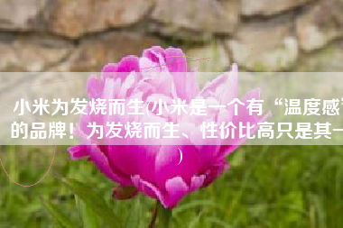 小米为发烧而生(小米是一个有“温度感”的品牌！为发烧而生、性价比高只是其一)
