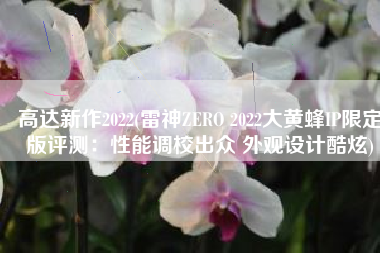 高达新作2022(雷神ZERO 2022大黄蜂IP限定版评测：性能调校出众 外观设计酷炫)