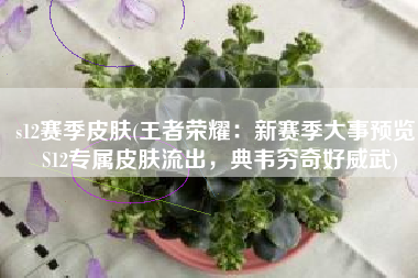 s12赛季皮肤(王者荣耀：新赛季大事预览，S12专属皮肤流出，典韦穷奇好威武)