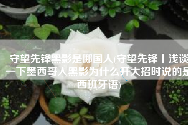 守望先锋黑影是哪国人(守望先锋丨浅谈一下墨西哥人黑影为什么开大招时说的是西班牙语)