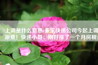 上调是什么意思(多家快递公司今起上调派费！快递小哥：刚好涨了一个月房租)
