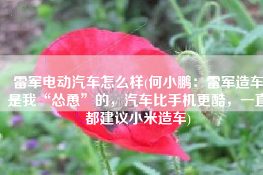 雷军电动汽车怎么样(何小鹏：雷军造车是我“怂恿”的，汽车比手机更酷，一直都建议小米造车)