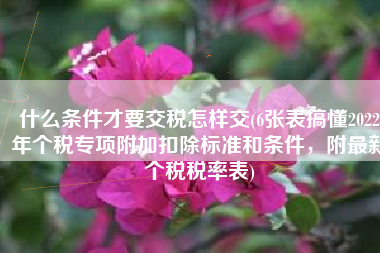 什么条件才要交税怎样交(6张表搞懂2022年个税专项附加扣除标准和条件，附最新个税税率表)