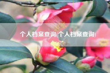 个人档案查询(个人档案查询)