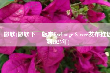 微软(微软下一版本Exchange Server发布推迟到2025年)