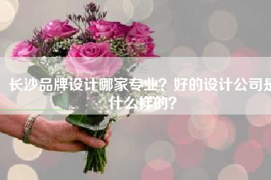 长沙品牌设计哪家专业？好的设计公司是什么样的？