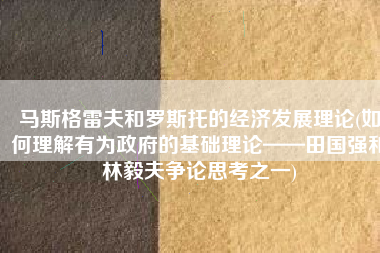 马斯格雷夫和罗斯托的经济发展理论(如何理解有为政府的基础理论——田国强和林毅夫争论思考之一)