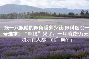 换一只眼睛的眼角膜多少钱(眼科医院一号难求！“OK镜”火了，一年消费2万元，对所有人都“OK”吗？)
