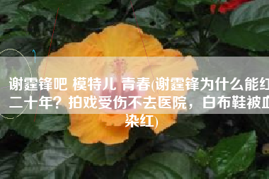 谢霆锋吧 模特儿 青春(谢霆锋为什么能红二十年？拍戏受伤不去医院，白布鞋被血染红)