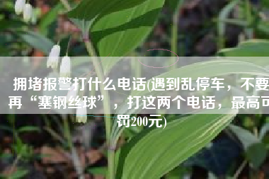 拥堵报警打什么电话(遇到乱停车，不要再“塞钢丝球”，打这两个电话，最高可罚200元)