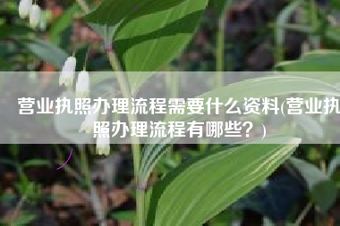营业执照办理流程需要什么资料(营业执照办理流程有哪些？)