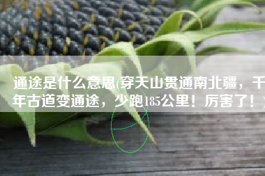 通途是什么意思(穿天山贯通南北疆，千年古道变通途，少跑185公里！厉害了！)