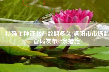 特殊工种证书有效期多久(洛阳市市场监管局发布22条措施)