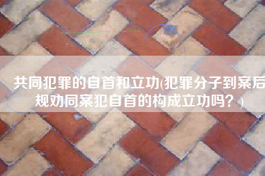 共同犯罪的自首和立功(犯罪分子到案后规劝同案犯自首的构成立功吗？)