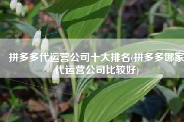 拼多多代运营公司十大排名(拼多多哪家代运营公司比较好)