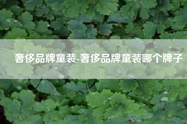 奢侈品牌童装-奢侈品牌童装哪个牌子