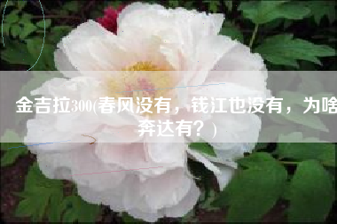 金吉拉300(春风没有，钱江也没有，为啥奔达有？)