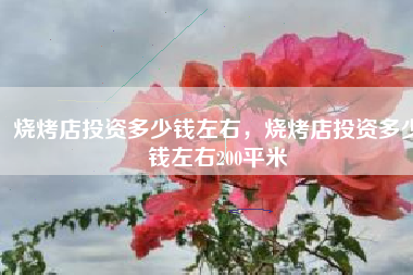 烧烤店投资多少钱左右，烧烤店投资多少钱左右200平米