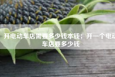 开电动车店需要多少钱本钱；开一个电动车店要多少钱