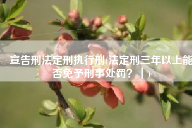 宣告刑法定刑执行刑(法定刑三年以上能否免予刑事处罚？｜)