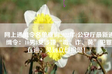 网上通缉令名单查询2022年(公安厅最新通缉令：10男8女涉嫌“毒、诈、黄”犯罪在逃，见到立即报警！)