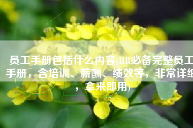 员工手册包括什么内容(HR必备完整员工手册，含培训、薪酬、绩效等，非常详细，拿来即用)
