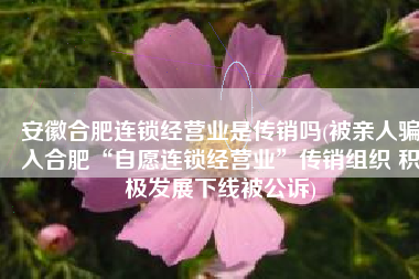 安徽合肥连锁经营业是传销吗(被亲人骗入合肥“自愿连锁经营业”传销组织 积极发展下线被公诉)