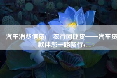 汽车消费信贷(​农行网捷贷——汽车贷款伴您一路畅行)