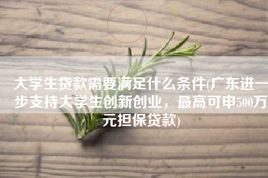 大学生贷款需要满足什么条件(广东进一步支持大学生创新创业，最高可申500万元担保贷款)