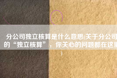 分公司独立核算是什么意思(关于分公司的“独立核算”，你关心的问题都在这里)