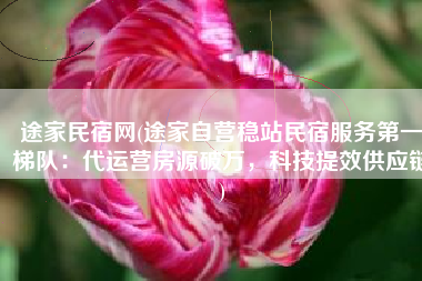 途家民宿网(途家自营稳站民宿服务第一梯队：代运营房源破万，科技提效供应链)