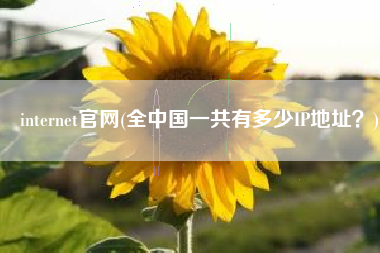 internet官网(全中国一共有多少IP地址？)