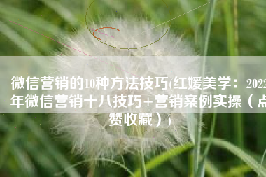 微信营销的10种方法技巧(红媛美学：2022年微信营销十八技巧+营销案例实操（点赞收藏）)