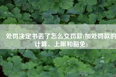 处罚决定书丢了怎么交罚款(加处罚款的计算、上限和豁免)