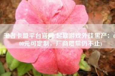 王者卡盟平台官网(起底游戏外挂黑产：6000元可定制，厂商屡禁仍不止)