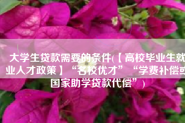 大学生贷款需要的条件(【高校毕业生就业人才政策】“名校优才”“学费补偿或国家助学贷款代偿”)