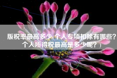 版税率最高多少(个人专项扣除有哪些？个人所得税最高是多少呢？)